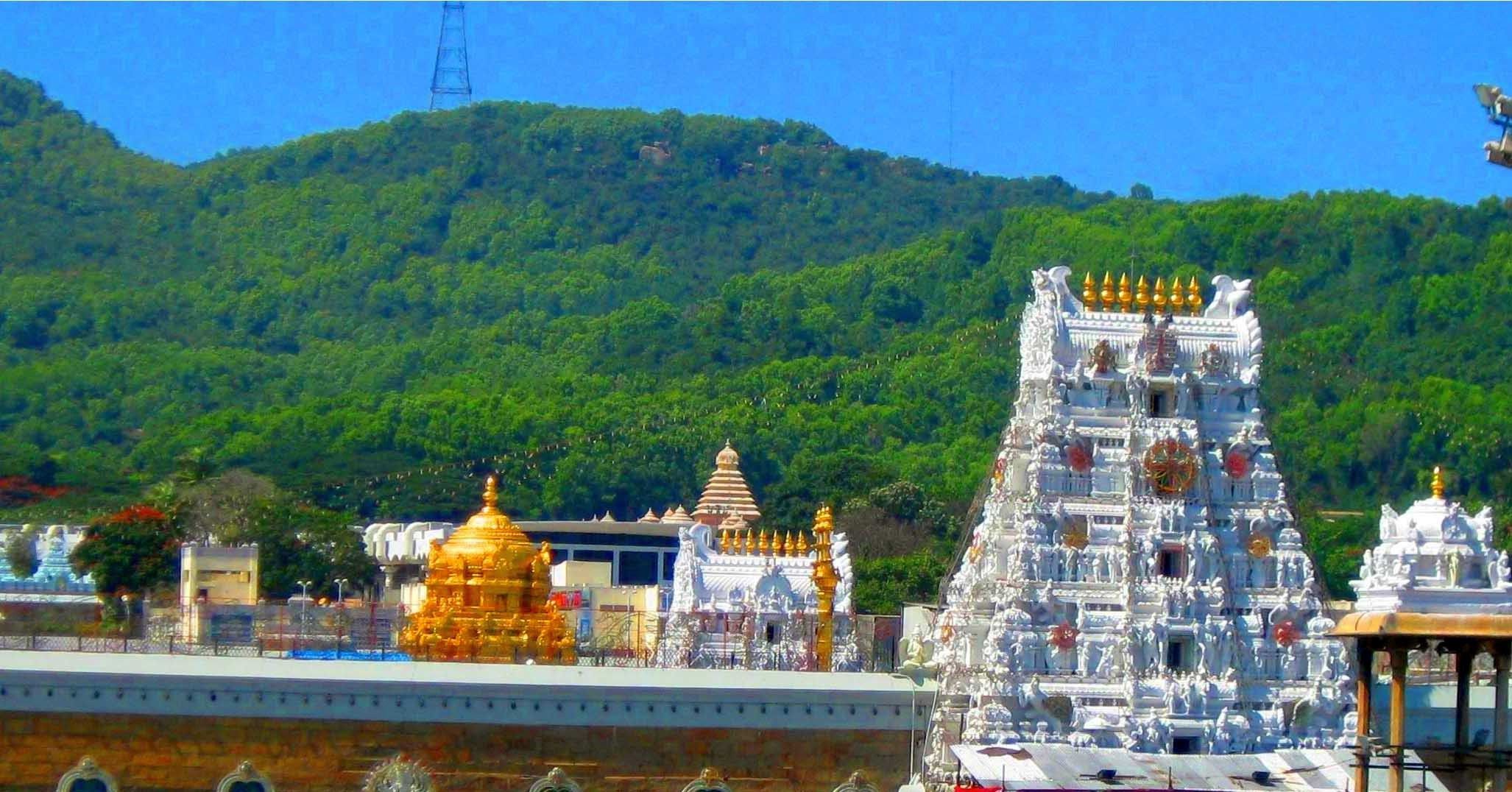 Temple Hero